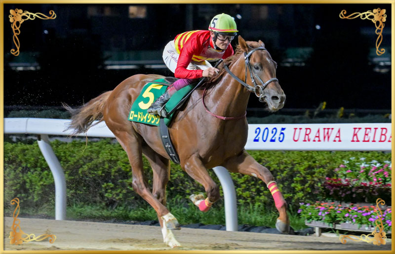 2025年優勝馬 ロードレイジング号