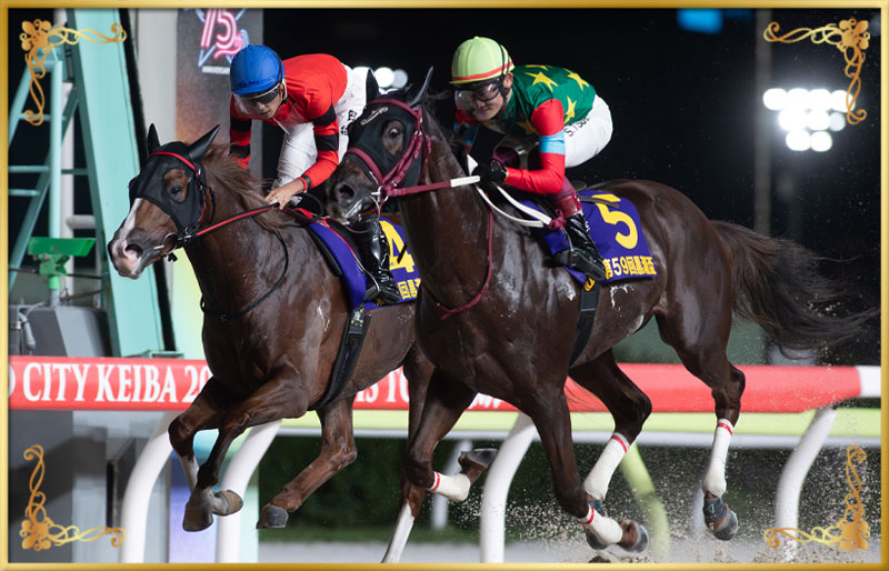 2025年優勝馬　マウンテンローレル号(外)
