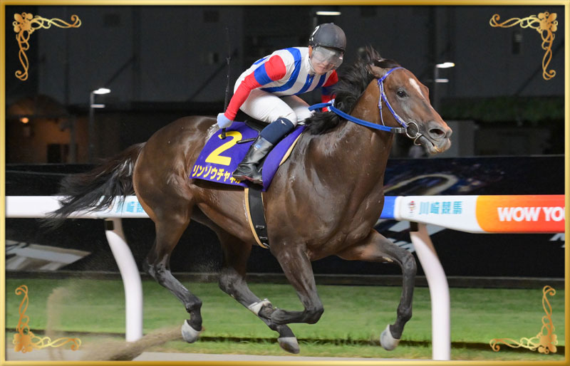 2025年優勝馬 リンゾウチャネル号