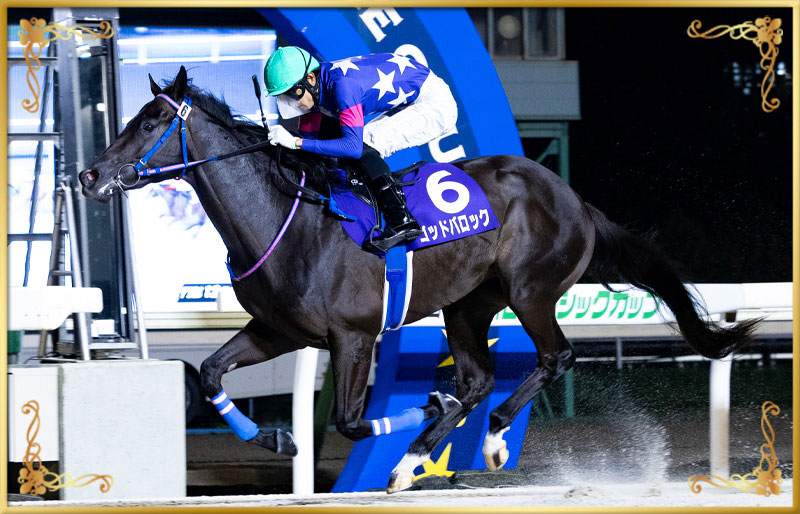 2025年優勝馬 ゴッドバロック号