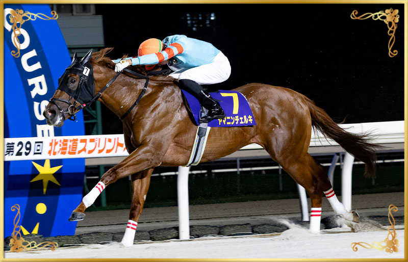 2025年優勝馬 ヤマニンチェルキ号