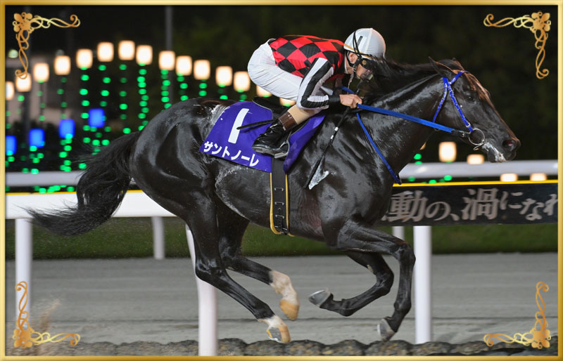 2025年優勝馬 サントノーレ号