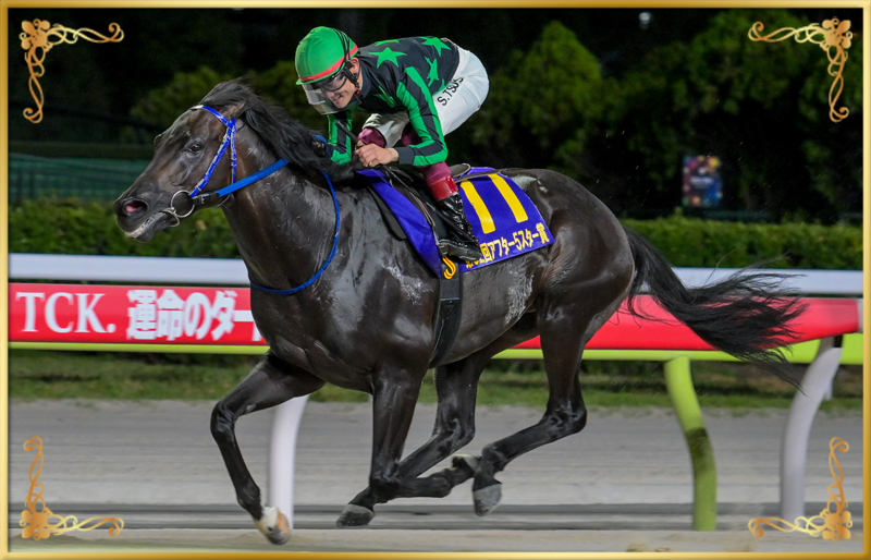 2025年優勝馬 ファーンヒル号
