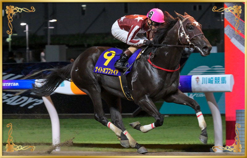 2025年優勝馬　ナイトオブファイア号