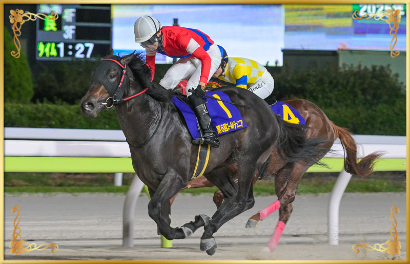2025年優勝馬　ゴーバディ号