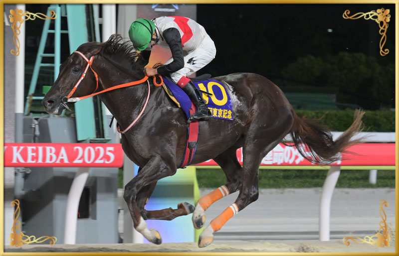 2025年優勝馬 マルカンラニ号