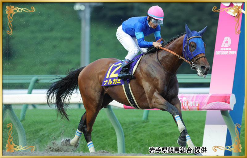 2025年優勝馬　ナルカミ号