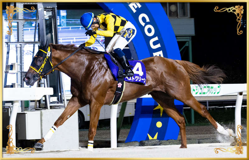 2025年優勝馬 ベストグリーン号