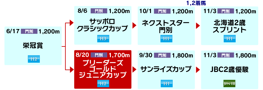 体系図 ~ホッカイドウ競馬2歳~