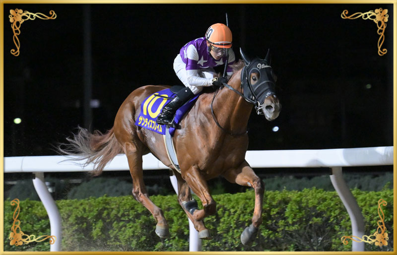 2025年優勝馬 サンライズフレイム号