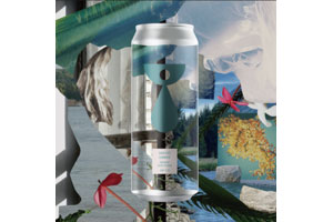 クラフトビール(Teenage Brewing)(ときがわ町)