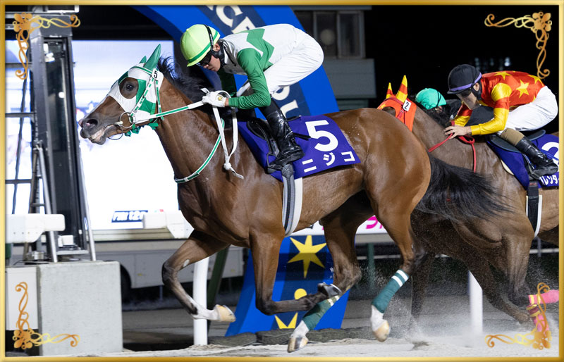2025年優勝馬 ニジコ号