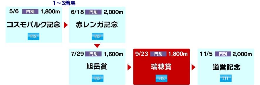 体系図 ~ホッカイドウ競馬3歳以上~