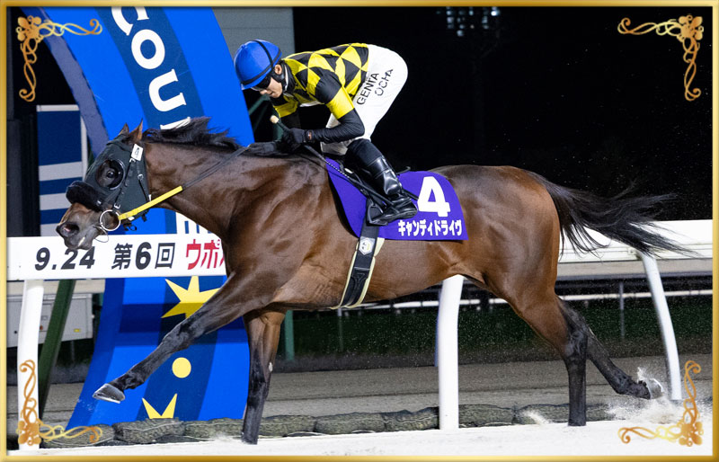 2025年優勝馬 キャンディドライヴ号