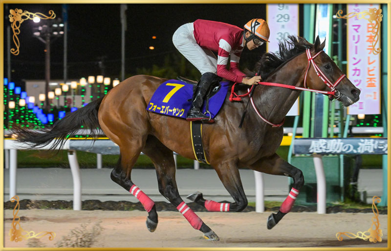 2025年優勝馬 フォーエバーヤング号