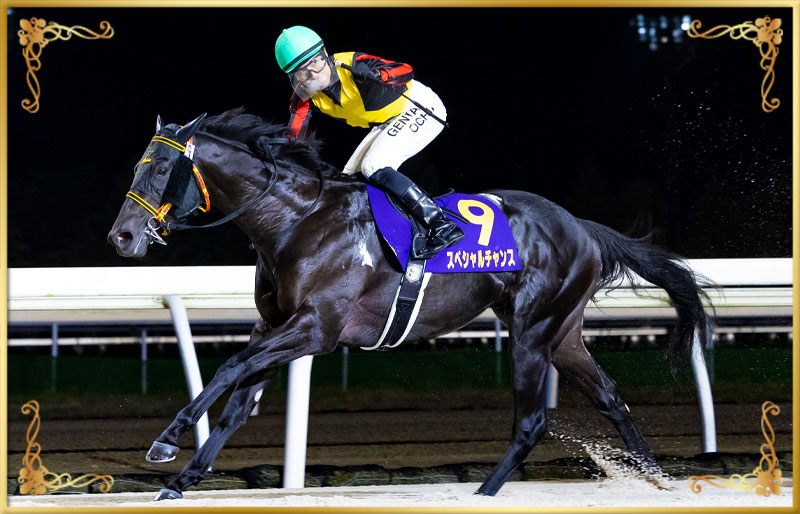 2025年優勝馬 スペシャルチャンス号