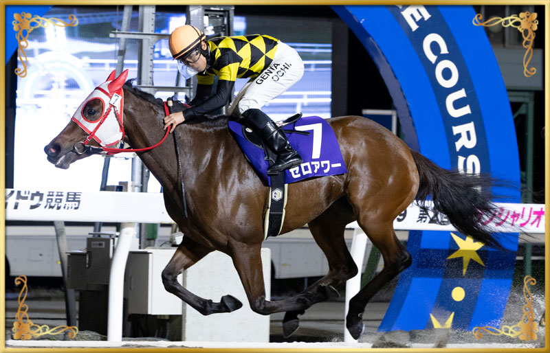 2025年優勝馬 ゼロアワー号