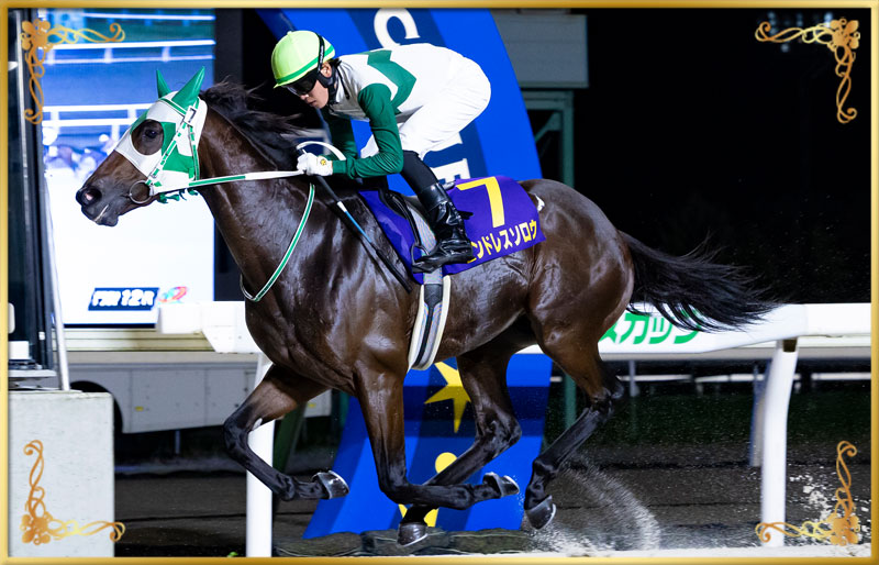 2025年優勝馬　エンドレスソロウ号