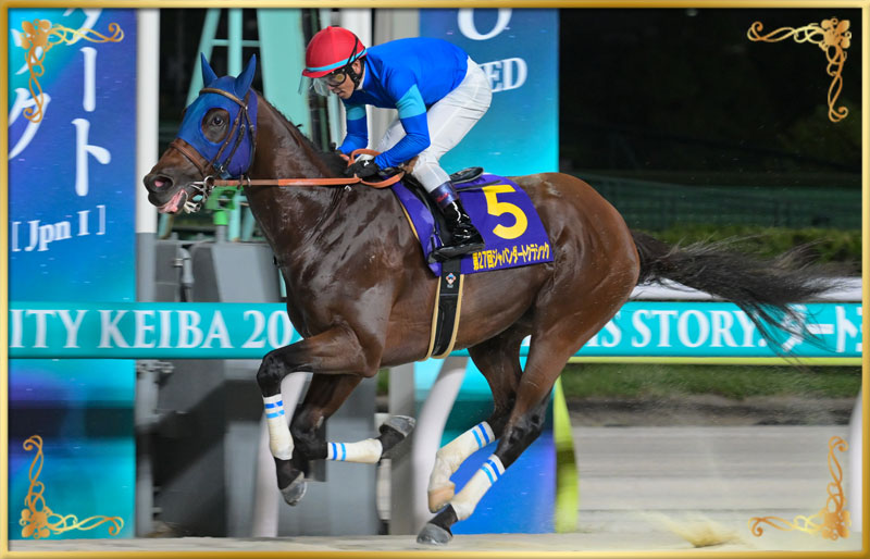 2025年優勝馬 ナルカミ号