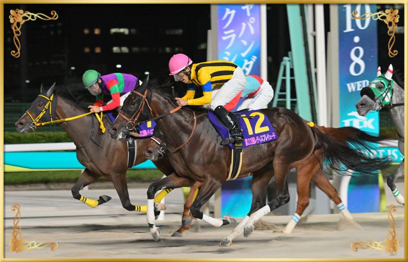 2025年優勝馬 ビヨンドザヴァレー号(外)
