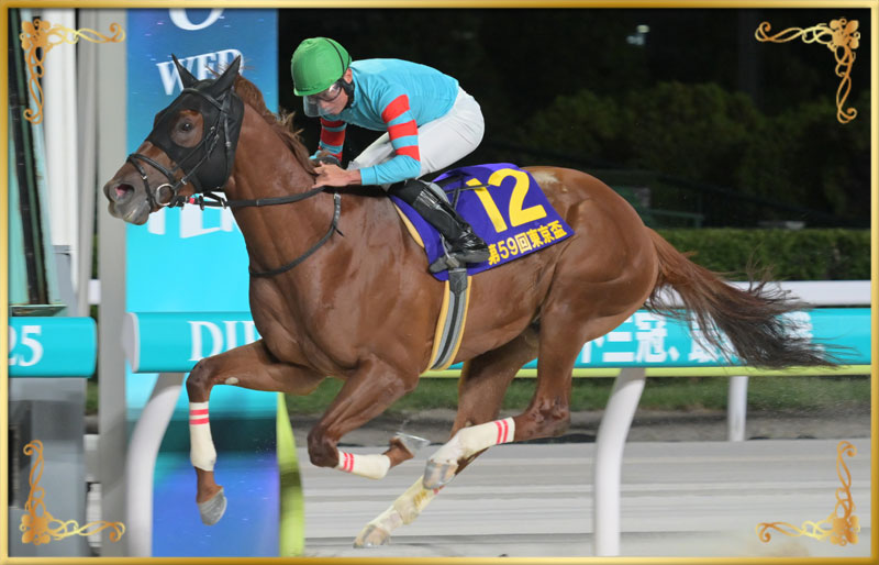 2025年優勝馬 ヤマニンチェルキ号