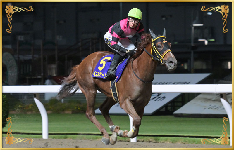 2025年優勝馬 ベストグリーン号