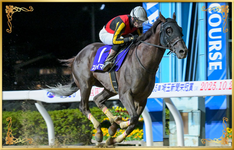 2025年優勝馬 スレイマン号