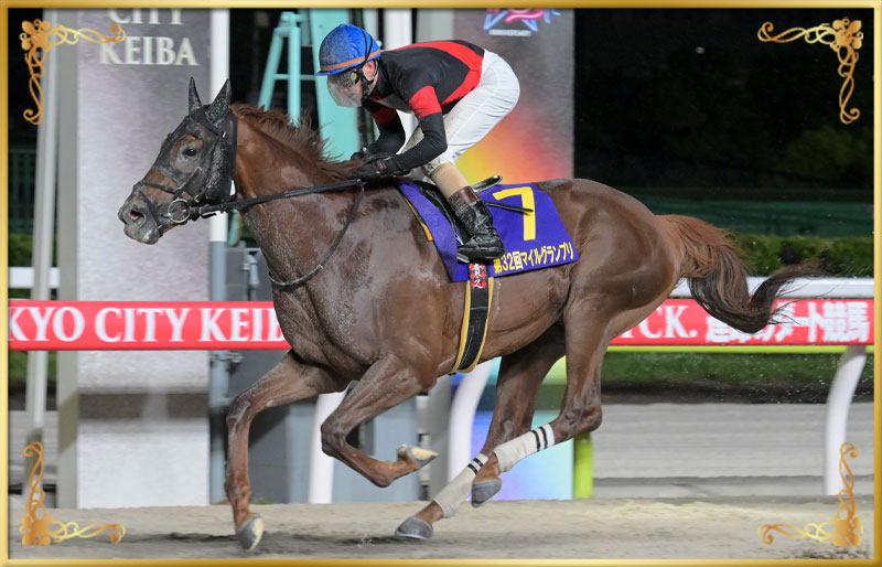 2025年優勝馬 ゴールドレガシー号