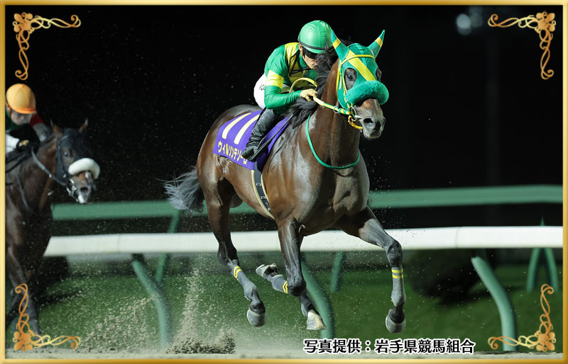 2025年優勝馬 ウィルソンテソーロ号