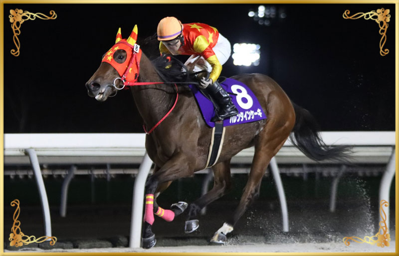 2025年優勝馬 バレンタインケーキ号