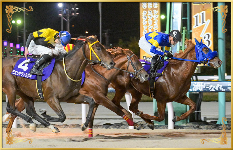 2025年優勝馬 スマトラフレイバー号(最内)