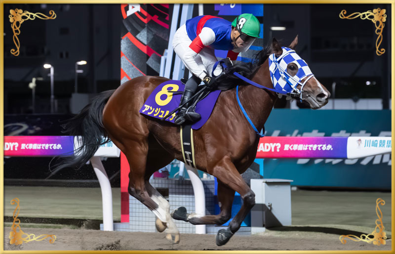 2025年優勝馬 アンジュルナ号