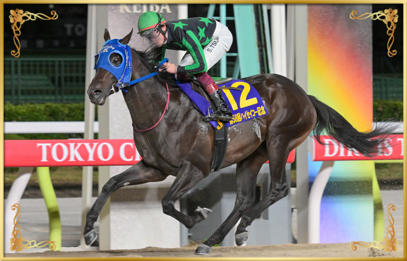 2025年優勝馬　ゼーロス号