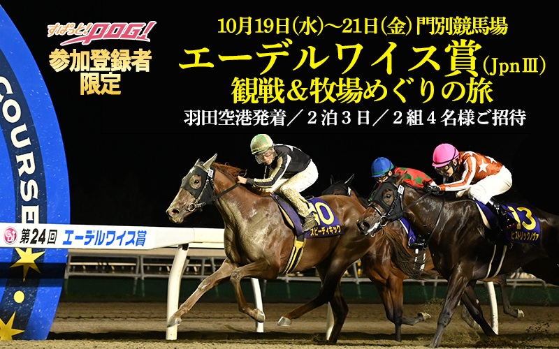 POG参加登録者限定！門別競馬エーデルワイス賞(Jpn3)観戦＆牧場めぐりの旅