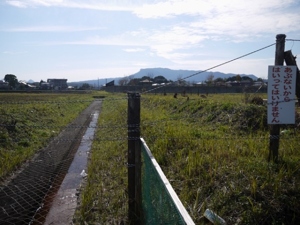 右がファンエリアで左が本馬場