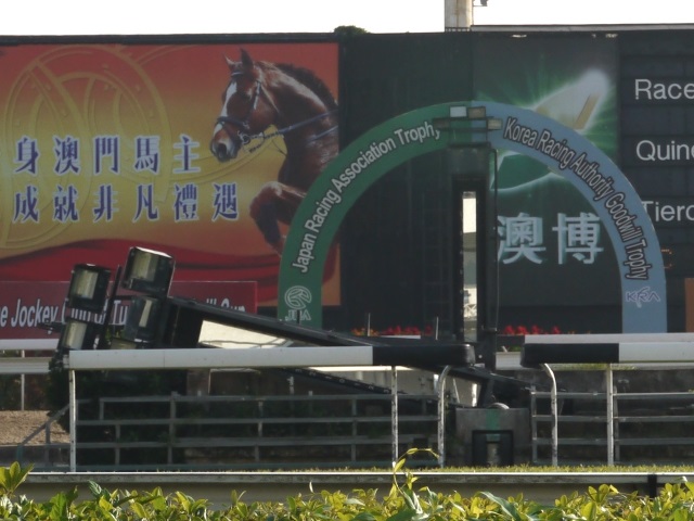 芝コースのゴール板が