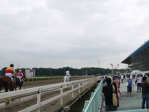雨でドロドロの馬場が舞台