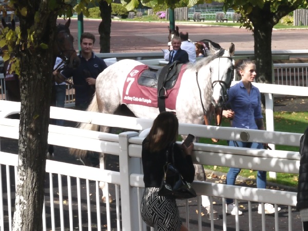 サンクルー競馬場の2歳戦のパドック