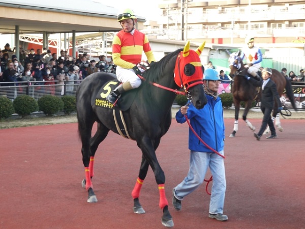 勝利を目指して！