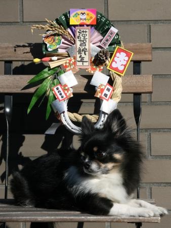 使用例