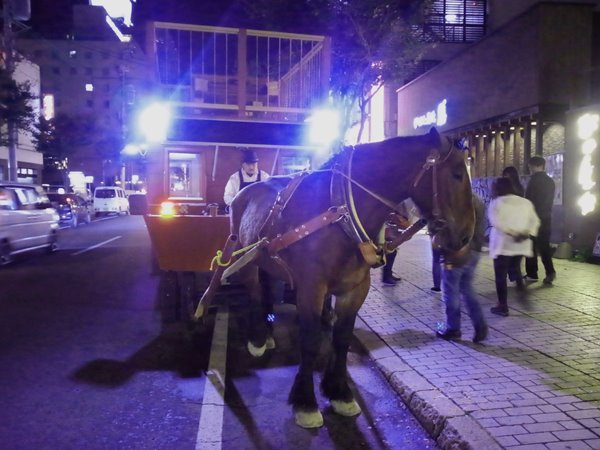 馬車BARにも乗りました
