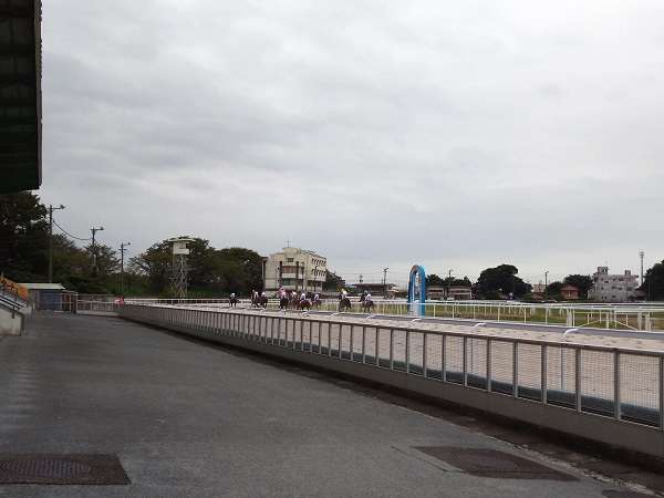 高配当のレースも多々