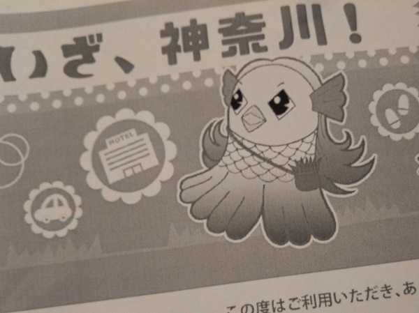 神奈川県のクーポン