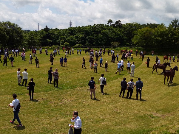 いい天気で展示