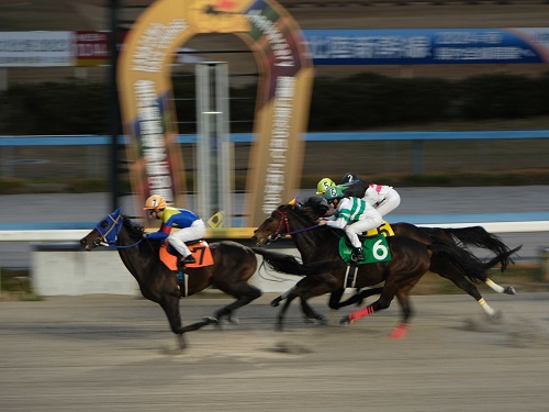 金沢競馬場