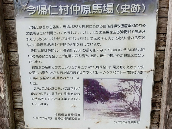 説明の表示