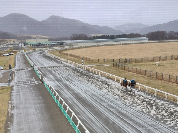 雨のなかでのJRA育成馬の展示会