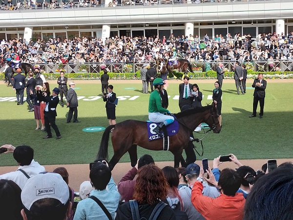 中山競馬場