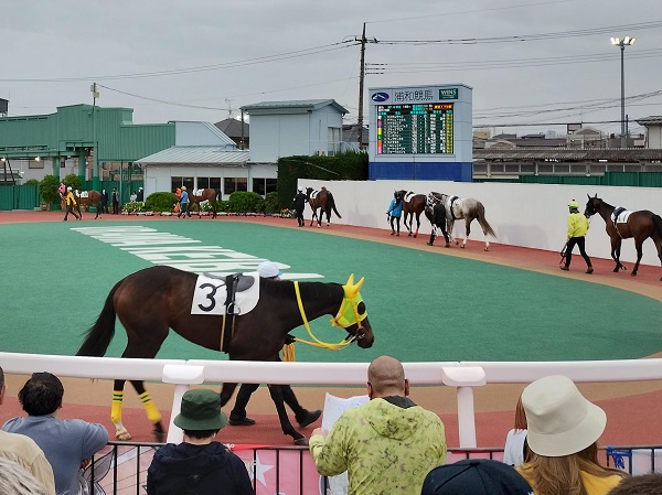 南関東の競馬場は１か月半ぶり