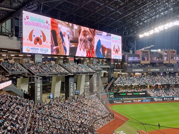 ホークスが勝ちました